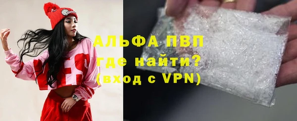 стафф Алексин