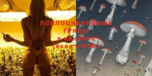 тгк Алзамай