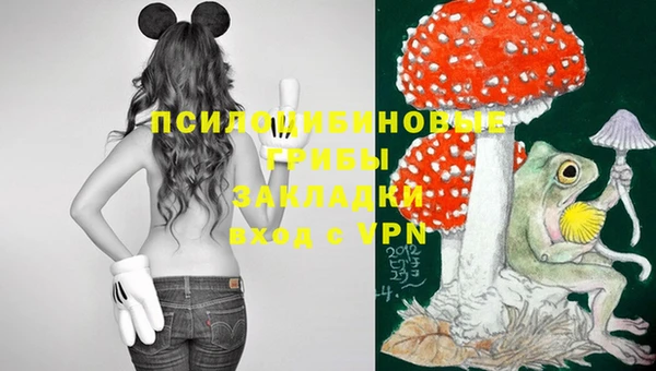стафф Алексин