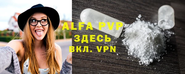 стафф Алексин