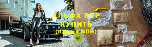 стафф Алексин